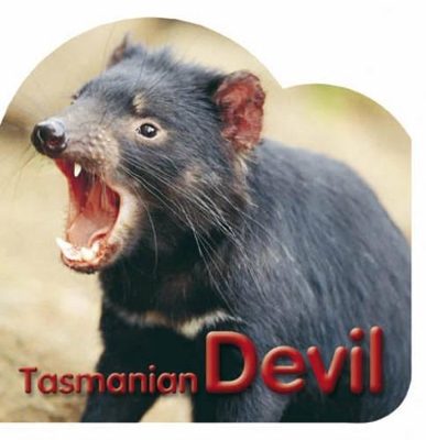 Tasmanian Devil book