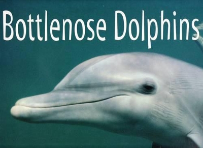 Bottlenose Dolphins Big Book book