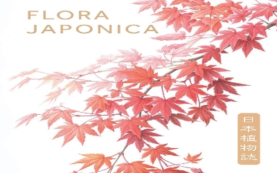 Flora Japonica book