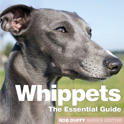 Whippets: The Essential Guide book