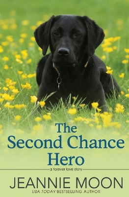 The Second Chance Hero book