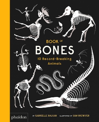 Book of Bones by Sam Brewster