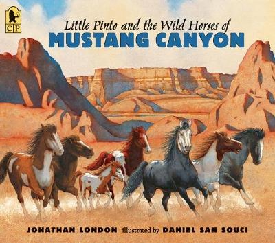 Little Pinto And The Wild Horses Of Mustang Canyon book