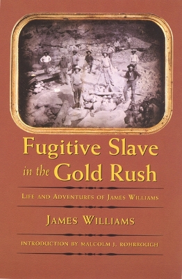 Fugitive Slave in the Gold Rush book