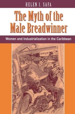 Myth Of The Male Breadwinner book
