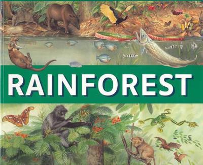 Rainforest book