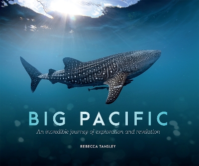 Big Pacific by Rebecca Tansley