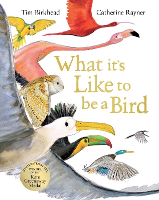 What it's Like to be a Bird book