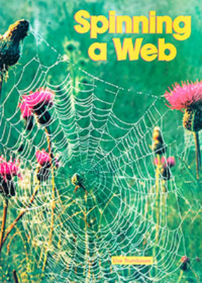 Spinning a Web: Big Book book