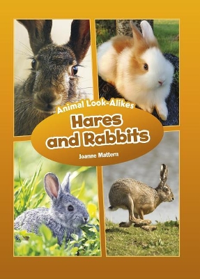 Hares and Rabbits book