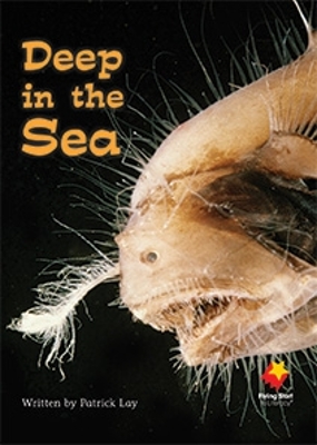 Deep in the Sea book