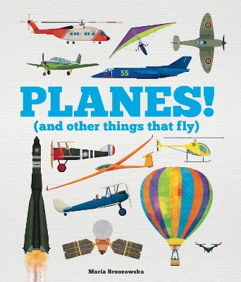 Planes!: (And Other Things That Fly) book