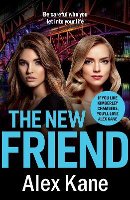 The New Friend book