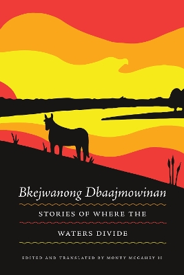 Bkejwanong Dbaajmowinan/Stories of Where the Waters Divide book