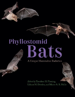 Phyllostomid Bats: A Unique Mammalian Radiation book