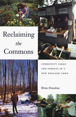 Reclaiming the Commons by Brian Donahue