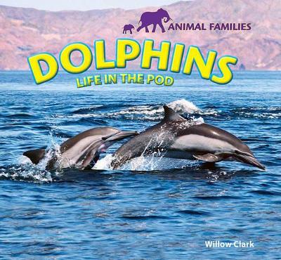 Dolphins by Willow Clark