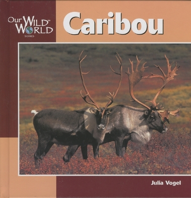 Caribou by Julia Vogel