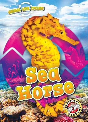 Sea Horse book