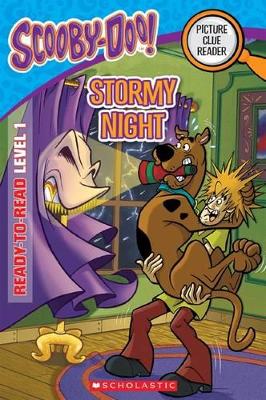Scooby-Doo! Ready-to-Read Level 1: Stormy Night book