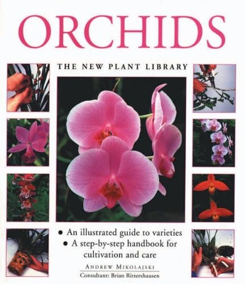 Orchids by Andrew Mikolajski