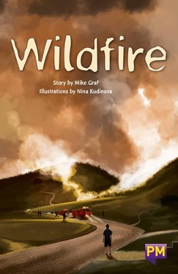 Wildfire! book
