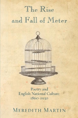 Rise and Fall of Meter book
