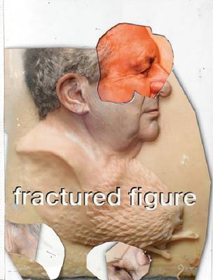 Fractured Figure book