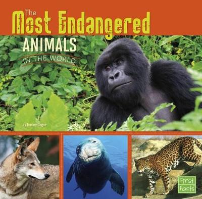 Most Endangered Animals in the World by Tammy Gagne