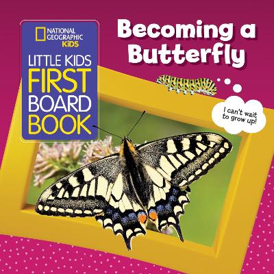 Becoming a Butterfly (Little Kids First Board Book) book