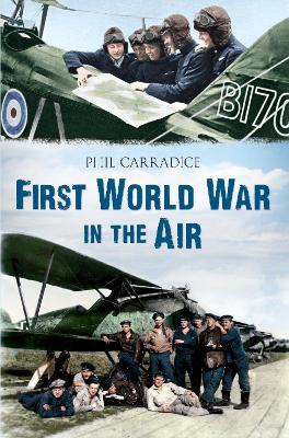 First World War in the Air book