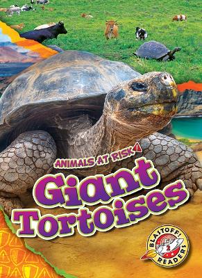 Giant Tortoises book