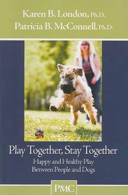 Play Together, Stay Together book