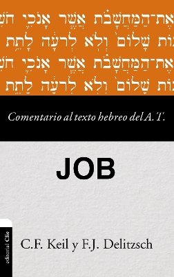 Comentario al texto hebreo del Antiguo Testamento - Job book