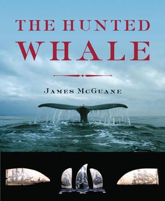 Hunted Whale book