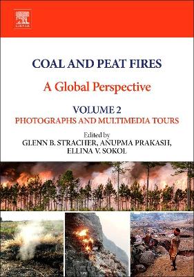 Coal and Peat Fires: A Global Perspective book