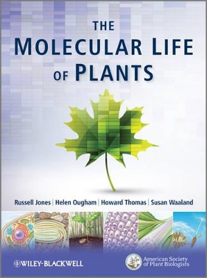 The Molecular Life of Plants by Russell L. Jones