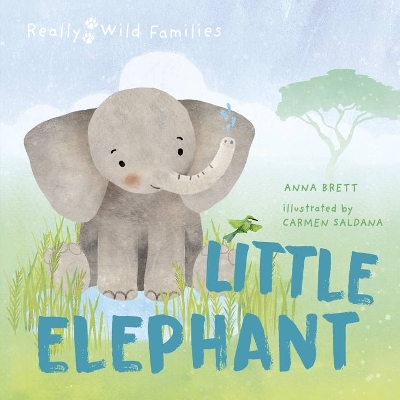 Little Elephant: A Day in the Life of a Elephant Calf by Carmen Saldana