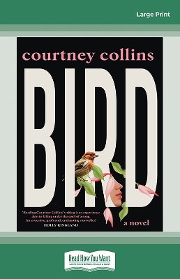 Bird by Courtney Collins