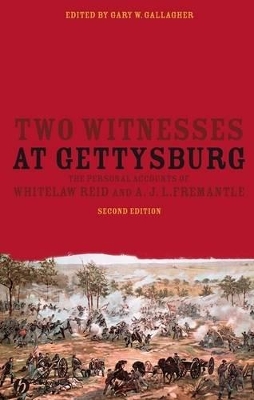 Two Witnesses at Gettysburg book