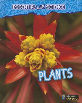 Plants by Melanie Waldron