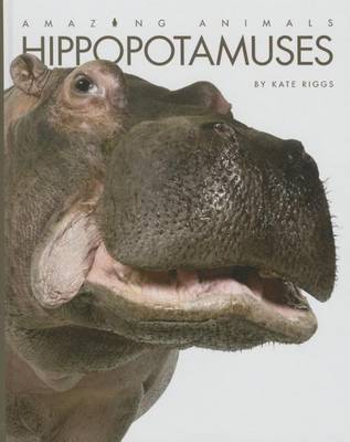 Hippopotamuses by Kate Riggs