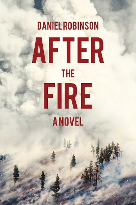 After the Fire book