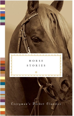 Horse Stories book