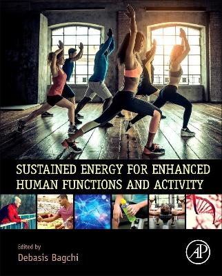 Sustained Energy for Enhanced Human Functions and Activity book