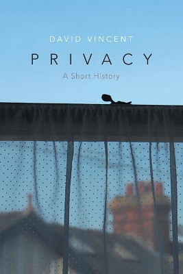 Privacy by David Vincent