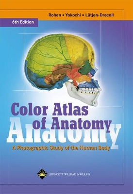 Color Atlas of Anatomy: A Photographic Study of the Human Body by Johannes W Rohen