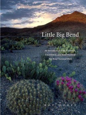 Little Big Bend book