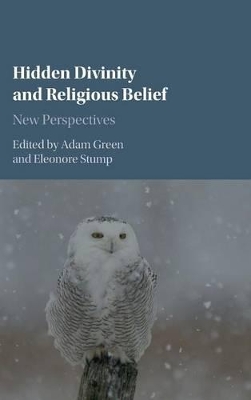Hidden Divinity and Religious Belief book
