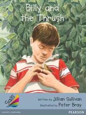 Sails Advanced Fluency Silver: Billy and the Thrush book